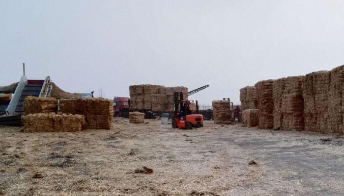 汽車天然氣充氣機(jī)